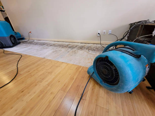 Professional Water Extraction technician working in Anson, ME